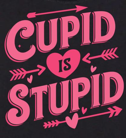 NOT A FAN of Valentine's Day T-Shirts and Sweatshirts