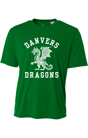 Danvers Dragons