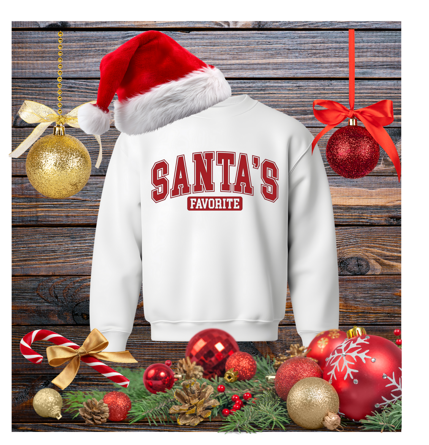 Santa's Favorite